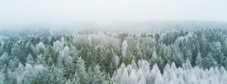 In Winter
