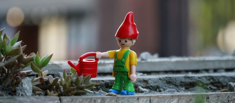Watering Plants