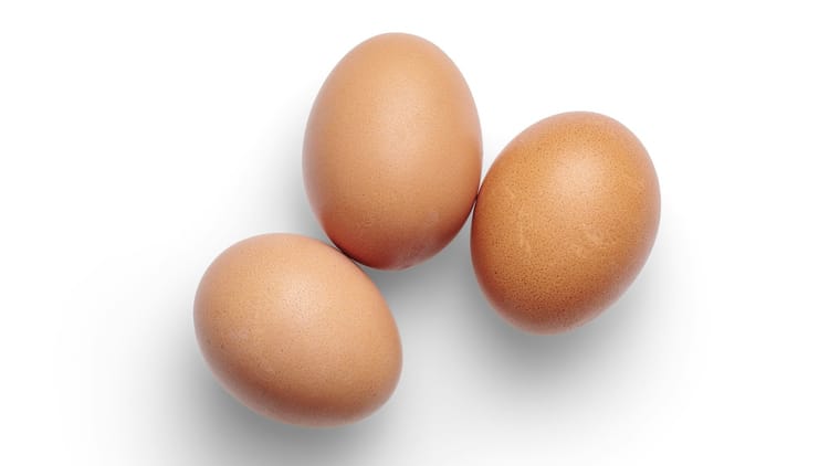 Egg