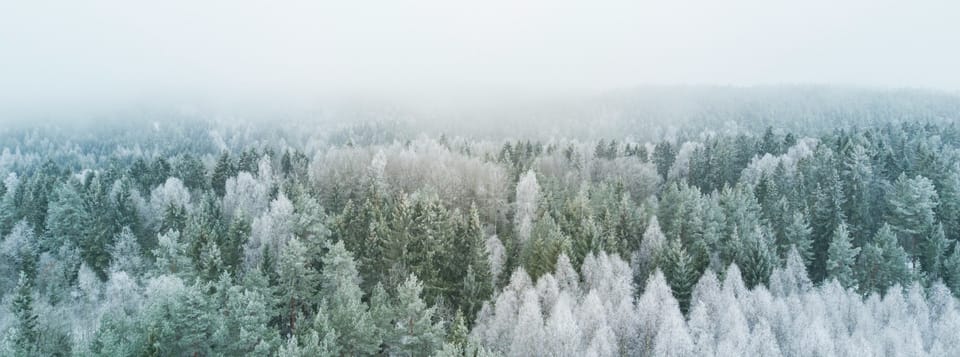 In Winter