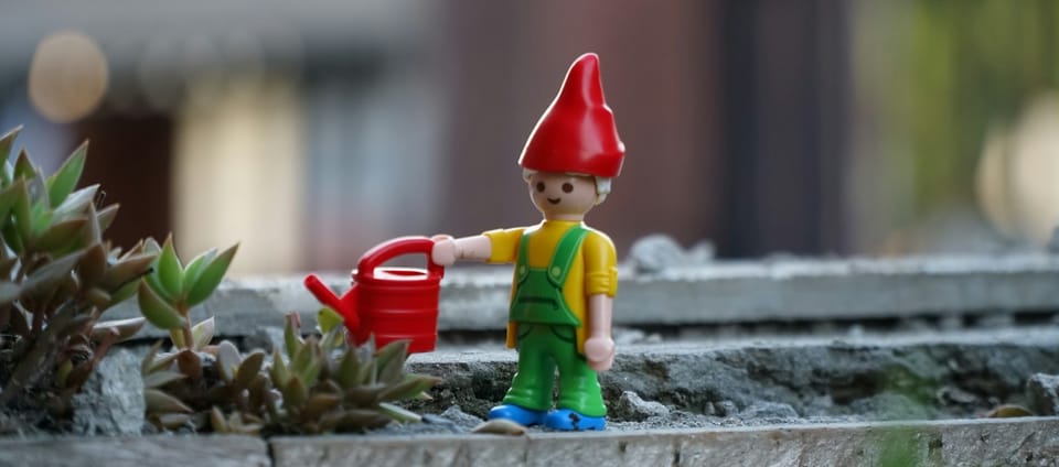 Watering Plants