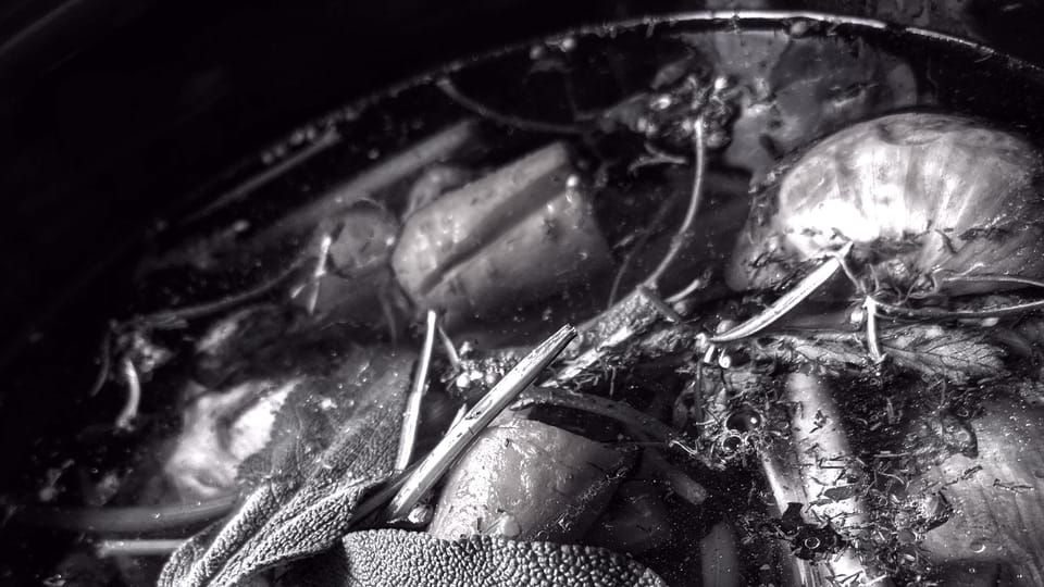 black and white close-up of a pan of vegetables and herbs being cooked for a stew